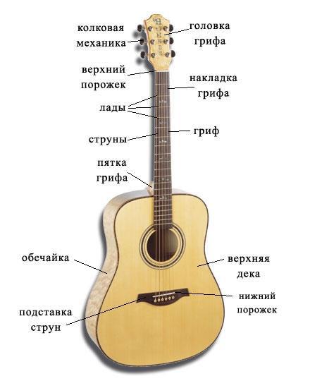 Устройство акустической гитары