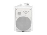 DS-503 Громкоговоритель настенный, 30Вт, TADS