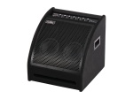 DS200 Монитор для электронной ударной установки, 200Вт, Soundking