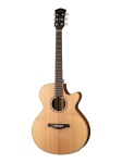 S27-GT Электро-акустическая гитара, с вырезом, с чехлом, глянец, Parkwood